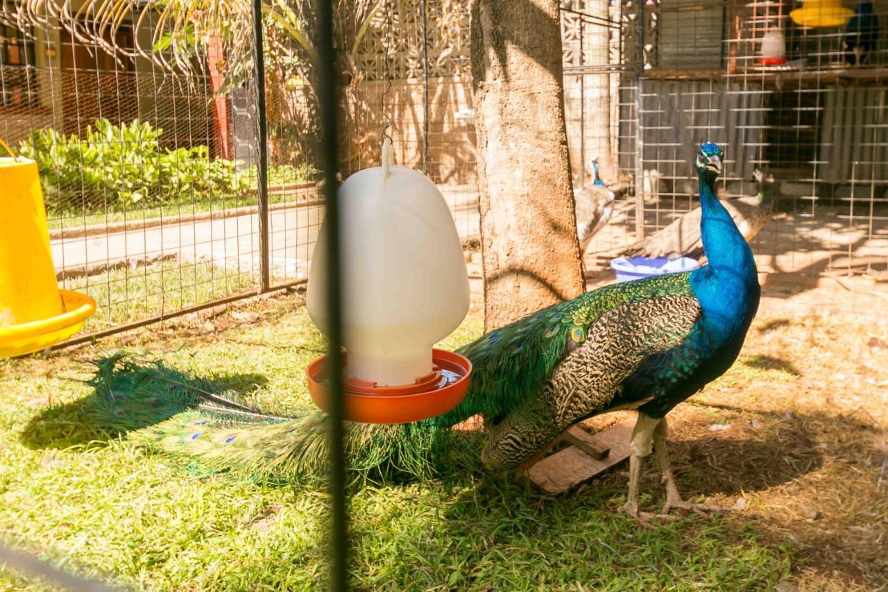 Fahari Gardens Hotel Nairobi Kültér fotó
